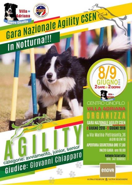 Gara nazionale Agility CSEN in notturna